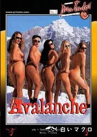 【The Matador 7 Avalanche 】の一覧画像