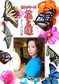 【素人シリーズ 花と蝶 Vol.973】の一覧画像
