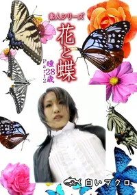 【素人シリーズ 花と蝶 Vol.1139 】の一覧画像