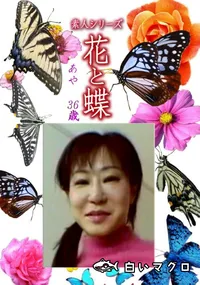 【素人シリーズ 花と蝶 Vol.1166 】の一覧画像
