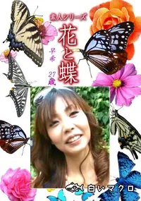 【素人シリーズ花と蝶 Vol.1241】の一覧画像
