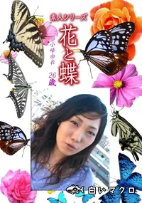 【素人シリーズ花と蝶 Vol.1262】の一覧画像