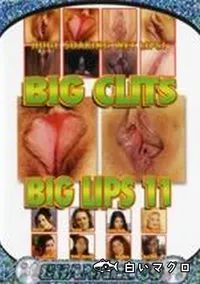 【BIG CLITS BIG LIPS 11】の一覧画像